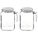 Bormioli Rocco Set Of 2 Frigoverre Glass Jug Pitcher With Hermetic Frosted Lid - 67.75 oz