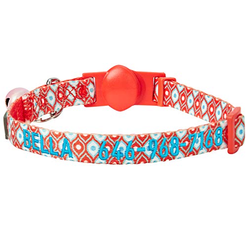 Blueberry Pet Pack of 2 Personalized All in One Perfect Orange Cat