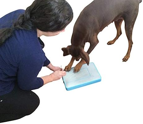 vet dog nail clippers