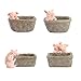 Youfui Pig Decor Pot Cute Piggy Succulent Planter Home Desk Office Fairy Garden Decoration Pig Gifts Ideal Gifts for Women, Mom or Birthday Christmas Pig Lovers Gift