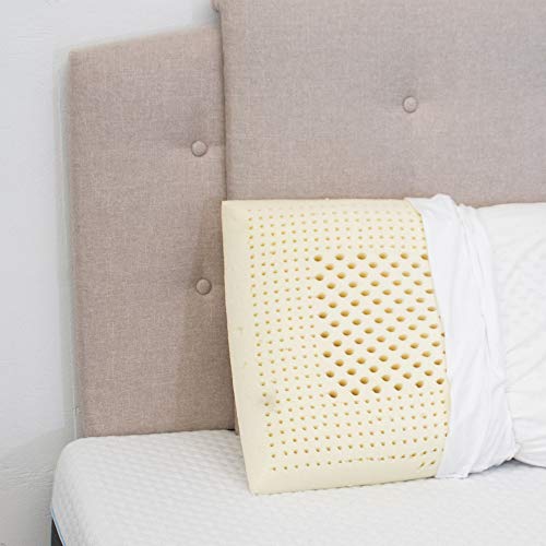 Latex Foam Bed Pillow Extra Plush 100 Cotton Casing Cover Provides