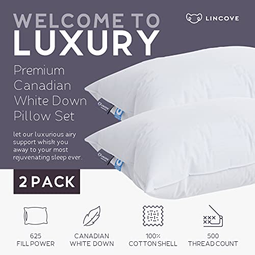 Lincove Cloud Natural Canadian White Down Luxury Sleeping Pillow 625