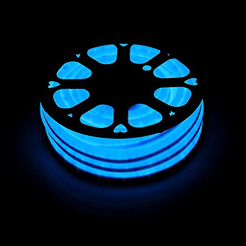 DELight 50 FT 110V Blue Flexible LED Neon Rope Light Indoor Outdoor Holiday Valentines Party Decoration Lighting