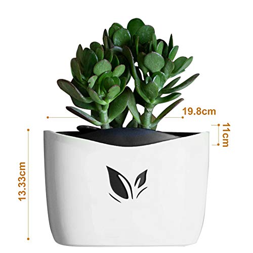 Wall Mounted Planter Pots for Herbs, Flowers | Succulent Planter Pots | no Drills, no Screws, no Hanging | Succulent Wall Planter | Self Watering, Low Maintenance (White) - Thumbnail 7