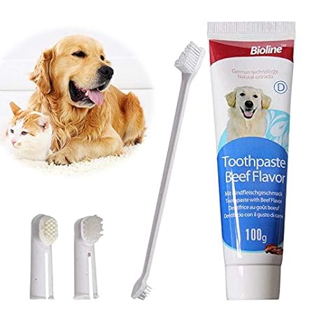 bioline toothpaste for dogs