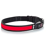 iECO LED Dog Collar – Upgrade USB Rechargeable