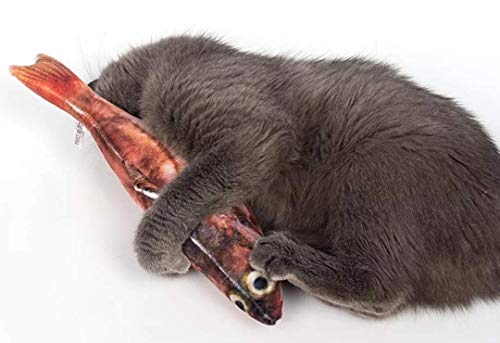 Laifug Fish Cat Toy with Catnip (2 Toys, Standard)