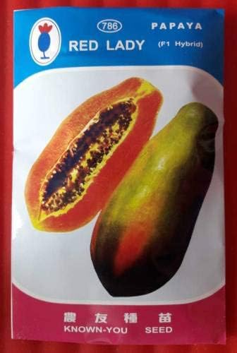 Pinkdose New red Lady 786 papaya f1 Seeds Seed
