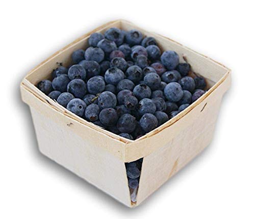 Jumping Daisy Pint Square Vented Wooden Berry Baskets - Set of 20 - Thumbnail 2