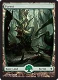 Magic: the Gathering - Forest - Full Art (247) - Zendikar