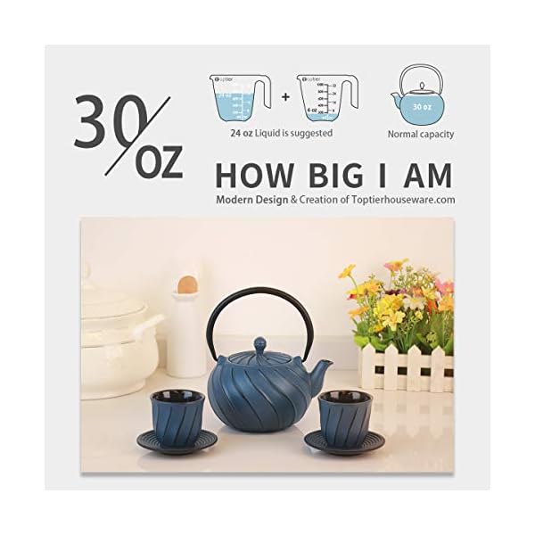 Tea Kettle, TOPTIER Japanese Cast Iron Teapot with Stainless Steel