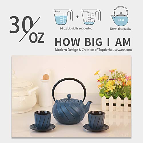 Tea Kettle, TOPTIER Japanese Cast Iron Teapot with Stainless Steel
