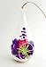 Bliss Gardens Air Plant Terrarium Kit with 7