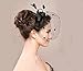Vimans Women's Bow Feather Detachable Cocktail Party Veil Fascinator Hair Clip Hat