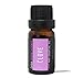 Casa Aromatherapy Clove Essential Oil 100% Pure Therapeutic Oil