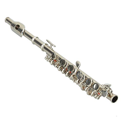 Cupronickel C Open Hole Concert Band Piccolo Set Beginner Musical Instrument+Case+Screwdriver+Lubricant (Silver)