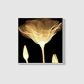 Framed Canvas Home Artwork Decoration Beautiful Flower Canvas Wall Art for Living Room, Bedroom - 16x16 inches