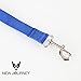 ROPPYAR Retractable Hands Free Dog Leash with Dual Bungees for Dogs, Adjustable Waist Belt, Reflective Stitching Leash for Running Walking Hiking Jogging Biking (Blue)