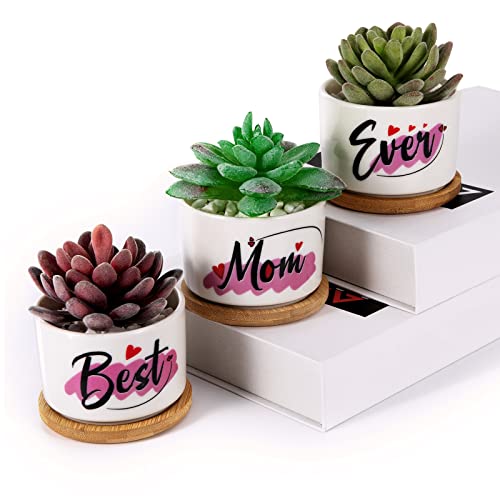 Roylvan Mom Gift for Mom, Birthday Present for Mother-in-Law Best Mom Ever Gift Succulent Planter Pot from Kids, Son, Daughter Gardening Gifts for Plant Lovers Mother's Day, Xmas Day Gifts for Women