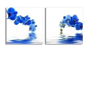 Canvas Prints Wall Art - Blue Orchid Flower with Reflection in Water | Modern Home Deoration/Wall Art Giclee Printing Wrapped Canvas Art Ready to Hang - 12"x12" x 2 Panels