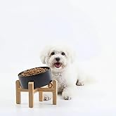 Petygooing Black Raised/Elevated 15°Slanted Ceramic Dog Bowl for Small Breeds,Tilted Anti Slip Pet Feeding Bowl,Food Water Dish with Stand for Cats and Small Dogs Puppy 13.5 OZ (5.1In /1.7 Cups)