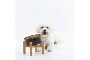 Petygooing Black Raised/Elevated 15°Slanted Ceramic Dog Bowl for Small Breeds,Tilted Anti Slip Pet Feeding Bowl,Food Water Dish with Stand for Cats and Small Dogs Puppy 13.5 OZ (5.1In / 1.7 Cups)