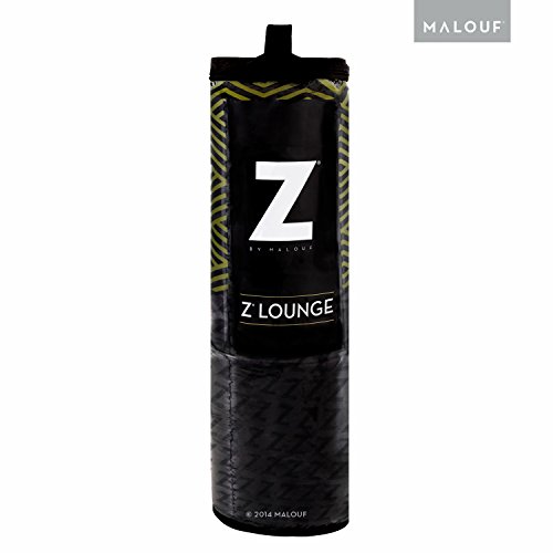 Z Foam Filled Reading Pillow