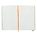 Rhodia Rhodiarama A5 Webnotebook, 5.5 in x 8.25, Lined - Anise (118746)