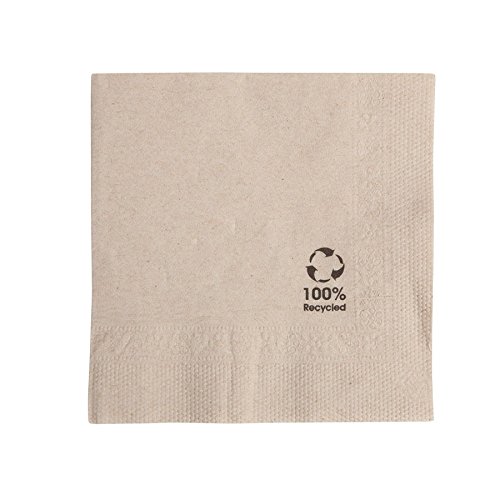 BIOZOYG Ecofriendly organic napkins made of recycled paper I paper