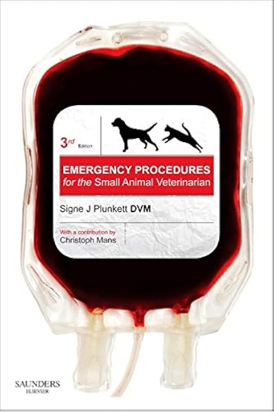 best for teething puppy