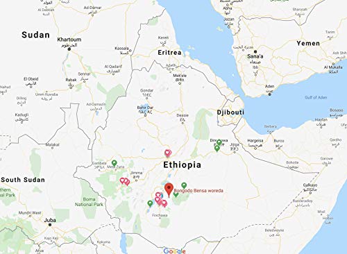 5 Ethiopian+Sidamo+Processed+Unroasted+Coffee