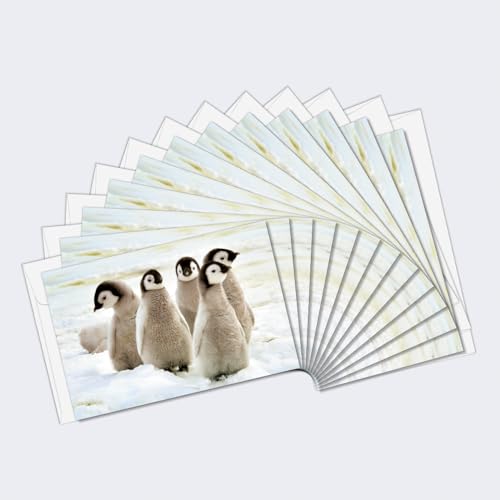 Tree-Free Greetings EcoNotes 12 Count Emperor Penguin Chicks All Occasion Notec…
