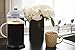 Large Cold-Brew French Press Coffee-Maker - Strongest Coffee Ever - Best for Cold Brew, Hot or Iced Coffee - Tea Maker - Glass BPA Free Pot - 1.5L/51oz