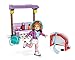 Mega Construx American Girl Mia's Skating Rink