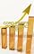 Livro Como Investir no Tesouro Direto: Aprenda a investir de forma segura e rentável no Tesouro Direto (Controle Financeiro Pessoal Livro 9)