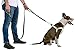 Dog Leash by GOMA - Gentle and Thick Training Leader for Large Dogs - Reflective Line - Double Handle leashes for All Big Breeds - Includes Free Dog Poop Bag Holder and 1 roll.