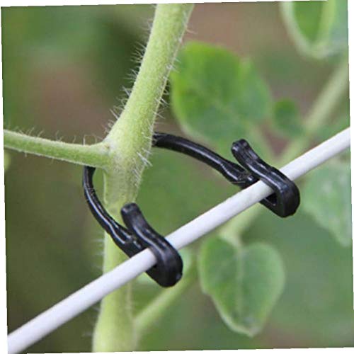 Vegetable Binder Twine Plant Support 100pcs Type Tomato Clips Trellis