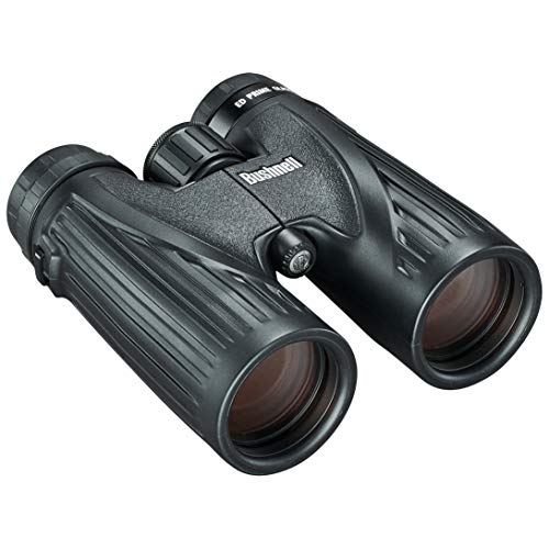 41FzCOrwC1L Bushnell Legend Ultra HD Roof Prism Binocular
