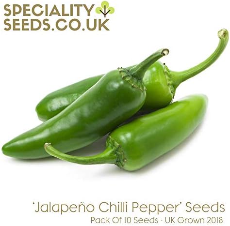 Jalapeno Chilli Seeds - Grow Your Own 'JalapeƱo Chilli Peppers' - Pack of 10 Seeds