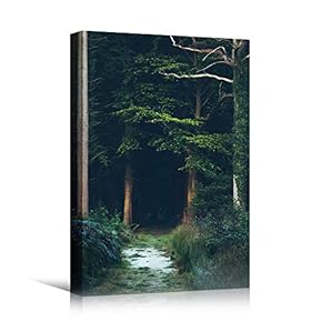 signwin Canvas Wall Art Green Forest Dramatic Forest...