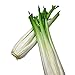 Lorigun Celery, Artificial Vegetables, Green Fake Vegetables for Decoration, Home Decor Market Display Kids Toy Kitchen Decoration Celery Stick 2Pcs