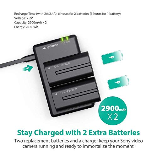 1 NP+F550+RAVPower+Battery+CCD+SC55+Replacement