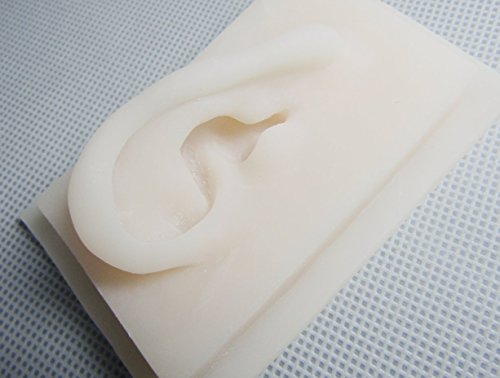 2Pcs Silicone Simulation Model Human Ears Acupuncture Practice Model of The Ear