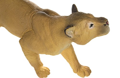 Wildlife Wonders: Puma concolor
