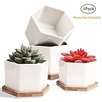 Succulent Pots, OAMCEG 4 Inch Succulent Planters, Set of 4 White Ceramic Succulent Cactus Plant Pots with Bamboo Tray(Plants NOT Included)
