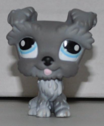 pitbull with different colored eyes