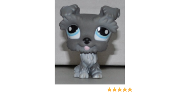 lps schnauzer