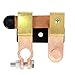 Auto Battery Disconnect Switch, 12 V/24 V, 250A Current, Battery Cut Off Switch for Marine Car Boat RV ATV (Top Post Horizontal)