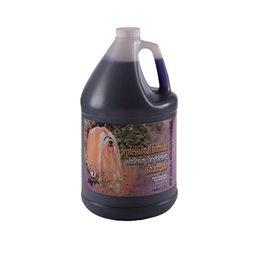 Best Shampoo For Lhasa Apso In 2020 Best Dog Grooming Tips