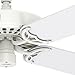 Hunter Original Indoor / Outdoor Ceiling Fan with Pull Chain Control